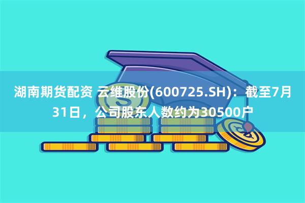 湖南期货配资 云维股份(600725.SH)：截至7月31日，公司股东人数约为30500户