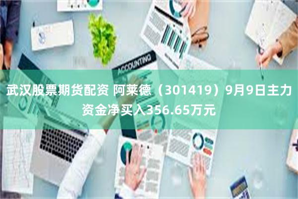 武汉股票期货配资 阿莱德（301419）9月9日主力资金净买入356.65万元