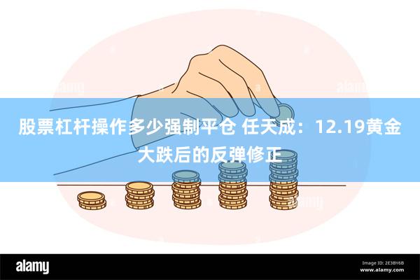 股票杠杆操作多少强制平仓 任天成：12.19黄金大跌后的反弹修正