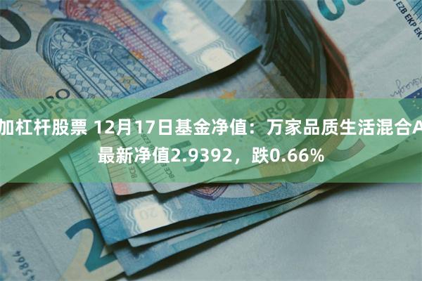 加杠杆股票 12月17日基金净值：万家品质生活混合A最新净值2.9392，跌0.66%