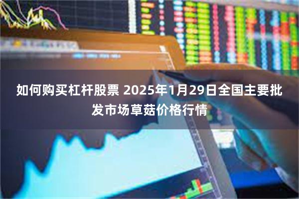 如何购买杠杆股票 2025年1月29日全国主要批发市场草菇价格行情