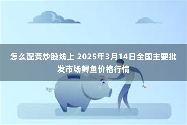 怎么配资炒股线上 2025年3月14日全国主要批发市场鲟鱼价格行情